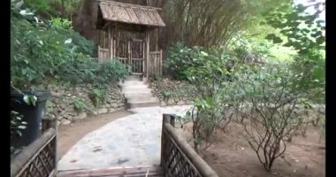 Vietnam 'daki Pagoda