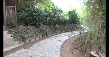 Vietnam 'daki Pagoda