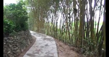 Vietnam 'daki Pagoda