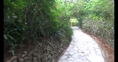 Vietnam 'daki Pagoda