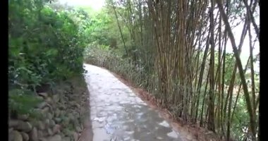 Vietnam 'daki Pagoda