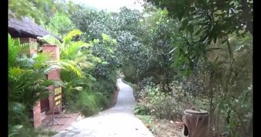 Vietnam 'daki Pagoda