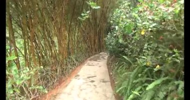 Vietnam 'daki Pagoda