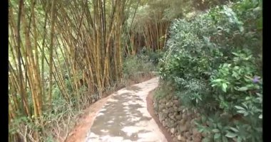 Vietnam 'daki Pagoda