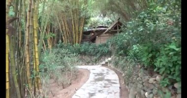 Vietnam 'daki Pagoda