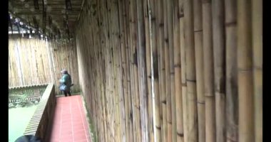 Vietnam 'daki Pagoda