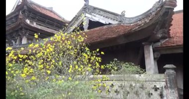 Vietnam 'daki Pagoda