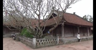 Vietnam 'daki Pagoda