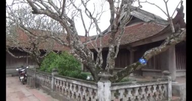 Vietnam 'daki Pagoda