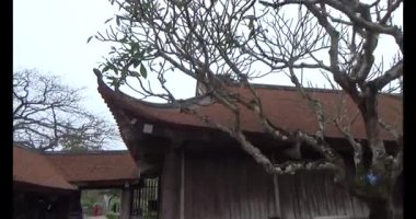 Vietnam 'daki Pagoda