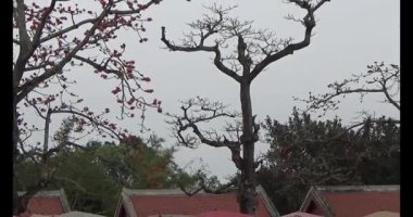 Vietnam 'daki Pagoda