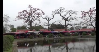 Vietnam 'daki Pagoda