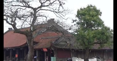 Vietnam 'daki Pagoda