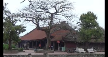 Vietnam 'daki Pagoda