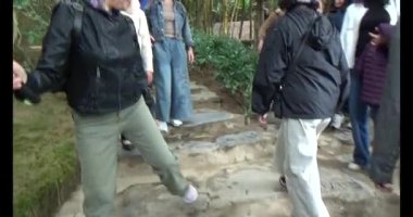 30 Mart 2025, Diatanngphilai Pagoda. Liemson, Thanhliem, Hanam, Vietnam. Diatanngphilai Pagoda eski bir pagoda. Yılın başında birçok insan ailelerine ve yaşamlarına şans dilemek için tapınağa gelir.