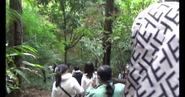 30 Mart 2025, Diatanngphilai Pagoda. Liemson, Thanhliem, Hanam, Vietnam. Diatanngphilai Pagoda eski bir pagoda. Yılın başında birçok insan ailelerine ve yaşamlarına şans dilemek için tapınağa gelir.