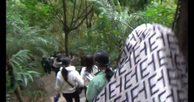 30 Mart 2025, Diatanngphilai Pagoda. Liemson, Thanhliem, Hanam, Vietnam. Diatanngphilai Pagoda eski bir pagoda. Yılın başında birçok insan ailelerine ve yaşamlarına şans dilemek için tapınağa gelir.