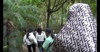 30 Mart 2025, Diatanngphilai Pagoda. Liemson, Thanhliem, Hanam, Vietnam. Diatanngphilai Pagoda eski bir pagoda. Yılın başında birçok insan ailelerine ve yaşamlarına şans dilemek için tapınağa gelir.