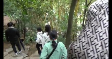 30 Mart 2025, Diatanngphilai Pagoda. Liemson, Thanhliem, Hanam, Vietnam. Diatanngphilai Pagoda eski bir pagoda. Yılın başında birçok insan ailelerine ve yaşamlarına şans dilemek için tapınağa gelir.