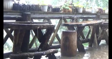 Vietnam dağ tarlaları