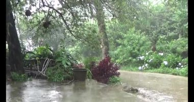 Vietnam dağ tarlaları