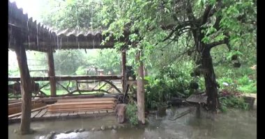 Vietnam dağ tarlaları