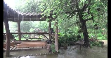 Vietnam dağ tarlaları