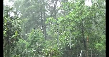 Vietnam dağ tarlaları