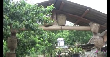 Vietnam dağ tarlaları