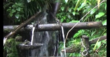 Vietnam dağ tarlaları