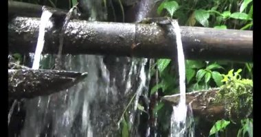 Vietnam dağ tarlaları