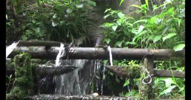 Vietnam dağ tarlaları