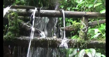 Vietnam dağ tarlaları