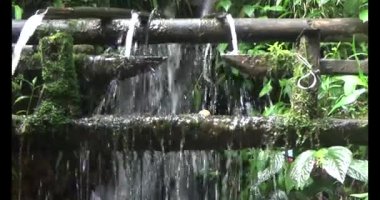 Vietnam dağ tarlaları