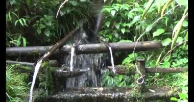 Vietnam dağ tarlaları