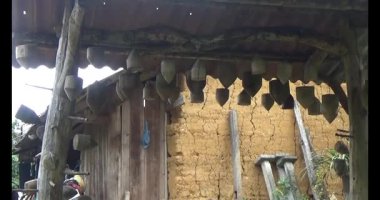 Vietnam dağ tarlaları