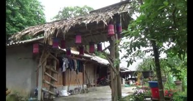 Vietnam dağ tarlaları