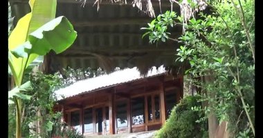 Vietnam dağ tarlaları