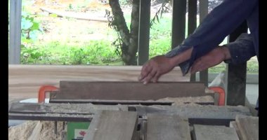 Vietnam dağ tarlaları