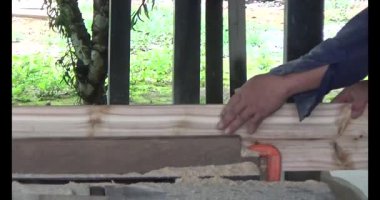 Vietnam dağ tarlaları