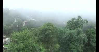 Vietnam dağ tarlaları