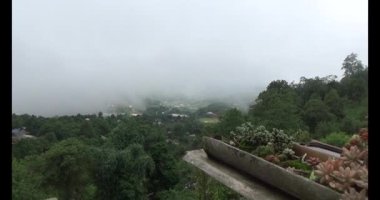 Vietnam dağ tarlaları