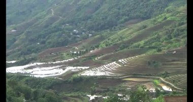 Vietnam dağ tarlaları