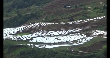 Vietnam dağ tarlaları