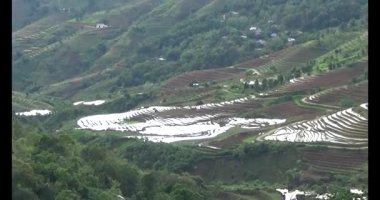 Vietnam dağ tarlaları