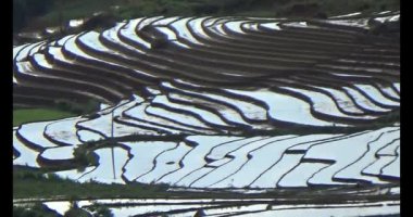 Vietnam dağ tarlaları