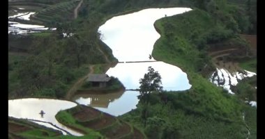 Vietnam dağ tarlaları
