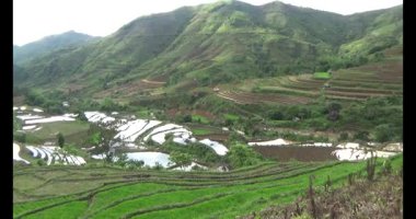 Vietnam dağ tarlaları