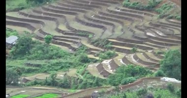 Vietnam dağ tarlaları
