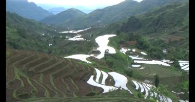 Vietnam dağ tarlaları
